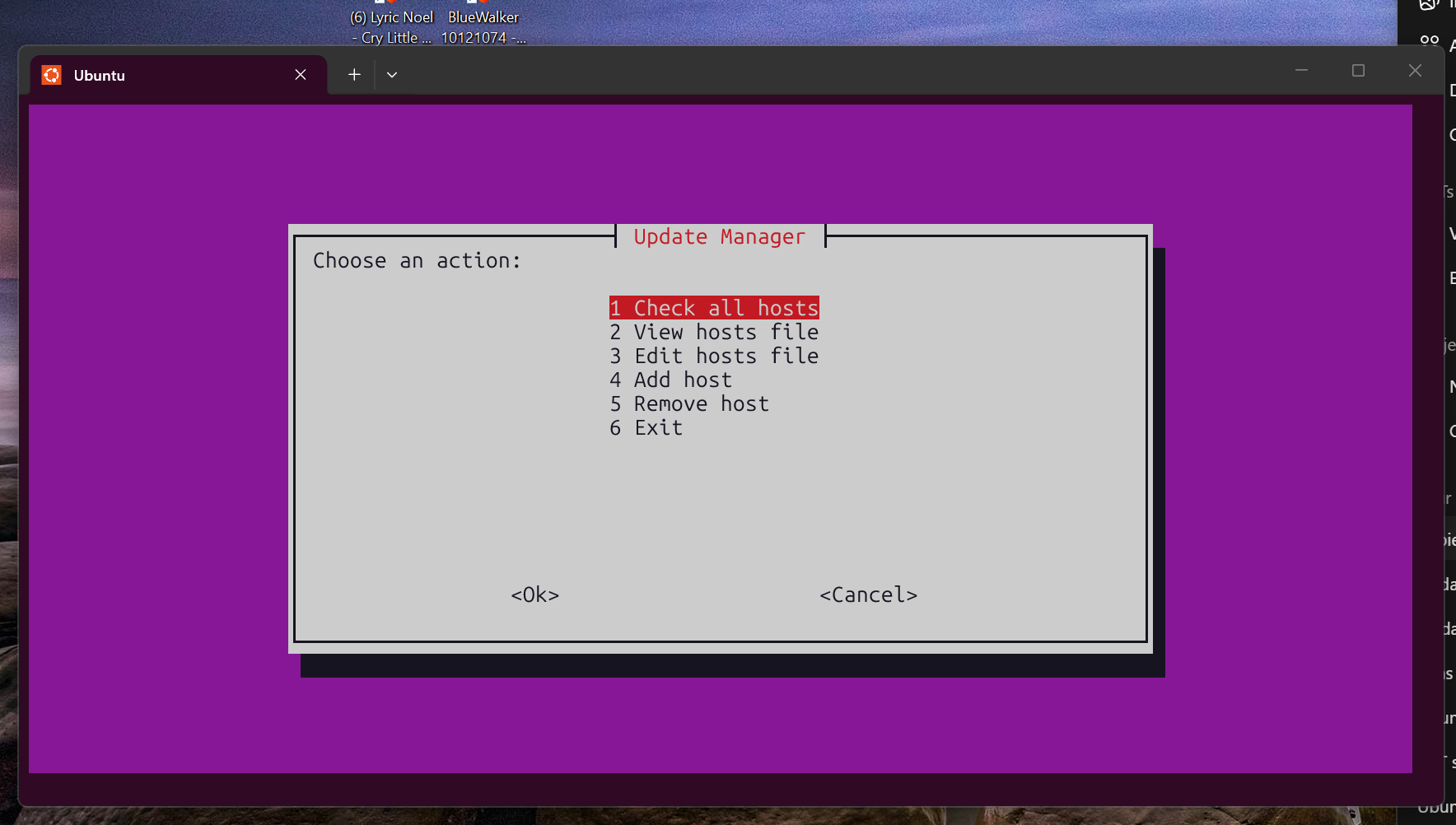 Update Manager CLI UI